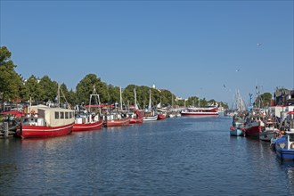 Boats, Am Strom, Hanse Sail, Warnemünde, Rostock, Mecklenburg-Western Pomerania, Germany, Europe