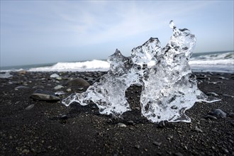 Ice, piece of ice on black sand beach, on black lava beach Diamond Beach, Southeast Iceland,