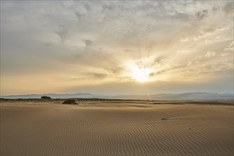 Beach "Platja del Fangar", sand dunes, Vegetation, nature reserve, ebro delta, Catalonia, Spain,