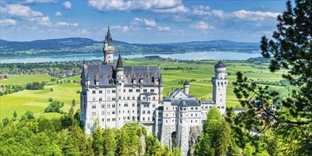 Neuschwanstein Castle near Hohenschwangau, Romantic Road, Ostallgäu, Bavaria, Germany, Europe