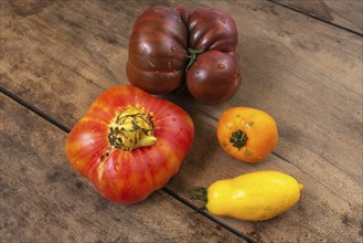 Organic tomatoes on a kitchen table. Alsace, France, Europe