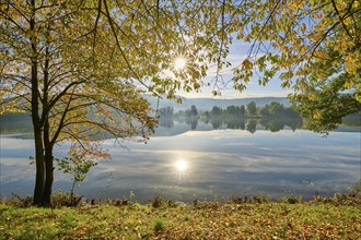 Lake, cherry tree, reflection, sky, clouds, sunrise, autumn, Freudenberg, Odenwald,