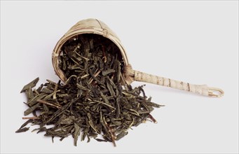 Bamboo tea strainer, green tea, dried leaves of tea plant (Camellia sinensis), unfermented,