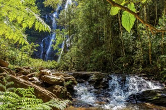 Rivers and waterfalls through dense forest vegetation in the state of Minas Gerais, Brazil, South