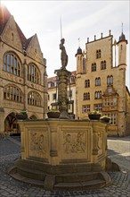 Historic Market Square, Roland Fountain with Town Hall and Temple House, Hildesheim, Lower Saxony,