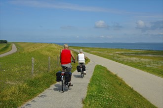 Cyclist on the dike, Texel Island, North Sea, North Holland, Netherlands