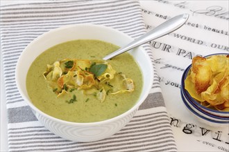 Swabian cuisine, cress soup with crisps, cress, plate with green cream soup, soup bowl, garnished