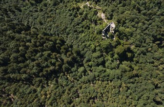 Drone shot, Wartenfels Ruin from above, Thalgau, Salzkammergut, Land Salzburg, Austria, Europe