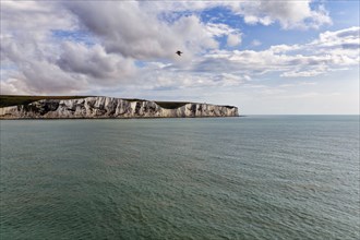 Chalk Coast on the Horizon, White Cliffs by the Sea, Dover, Kent, England, United Kingdom, Europe