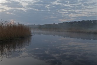 Morning foggy atmosphere on the river Peene with clouds reflected in the water, Peene Valley River