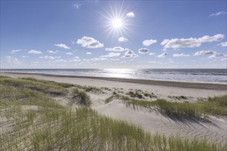 Dunes of Texel National Park, Nationaal Park Duinen van Texel on the North-Holland island of Texel