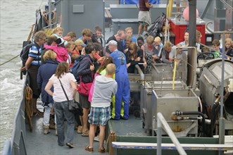 Shrimp fishermen, tourist excursion boat, Oudeschild, Texel Island, North Sea, North Holland,