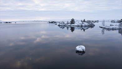 Snow-covered small islands overgrown with bushes in Lake Myvatn, at blue hour, Kalfaströnd, drone