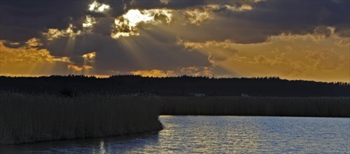 Sunbeams through the clouds at sunset on the Trebel River, Peene Valley River Landscape nature park