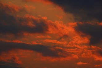 Clouds at sunset on the Trebel River, Peene Valley River Landscape nature park Park,