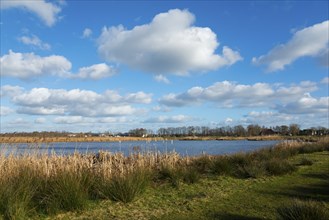 National Park De Alde Feanen, the old fen, Earnewald, Eernewoude, Friesland, Fryslân, Netherlands