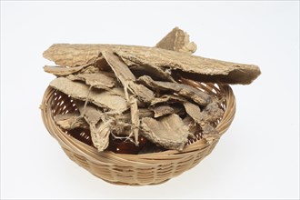 Bark of the god tree of heaven (Ailanthus altissima), medicinal plant of Chinese medicine