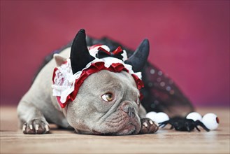 French Bulldog dog wearing red devil horn headband with ribbon and black tutu in front of red