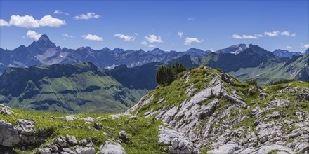 Koblat high trail on the Nebelhorn, behind it the Hochvogel, 2592m, Allgäu Alps, Allgäu, Bavaria,