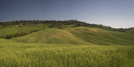 Landscape at sunrise around Pienza, Val dOrcia, Orcia Valley, UNESCO World Heritage Site, Siena