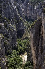 View into the Verdon Gorge at Belvedere de Bau Beni, Grand Canyon du Verdon, Département