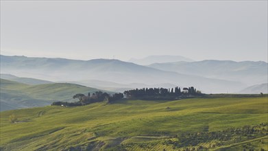 Fog, ranges of hills, green meadows, small woods, Madonie National Park, spring, Sicily, Italy,