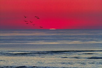 Refraction and reflection at sunset on the horizon, flock of birds, haze, Bassin d'Arcachon, Bay of