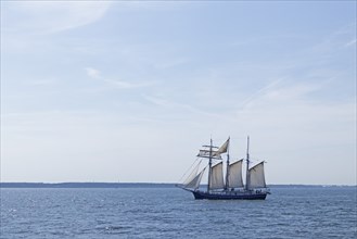 Sailing ship, Baltic Sea, Hanse Sail, Warnemünde, Rostock, Mecklenburg-Western Pomerania, Germany,