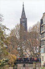 The large Notre-Dame Cathedral seen from Little France in Strasbourg at Christmas time. Bas-Rhin,