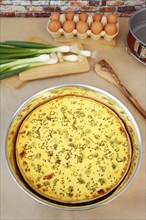 Swabian cuisine, salted cream cake with spring onions, hearty cake, salty shortcrust, baked, out of