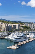 Marina of Palma De Mallorca, Spain, Europe