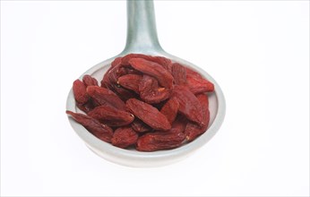 Goji, goji berries (Lycium barbarum), fenugreek, plant species of the nightshade family. Common