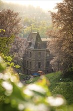 Historical building at sunrise, Calw, Black Forest, Germany, Europe