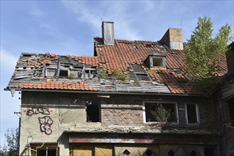 Ruined building in the Harz Mountains, Saxony-Anhalt, Germany, Europe