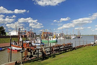 Fishing cutter, harbour, Ditzum, East Frisia, Lower Saxony, Germany, Europe