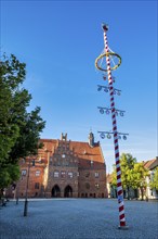 Maypole in front of Jüterbog town hall, Brandenburg, Germany, Europe