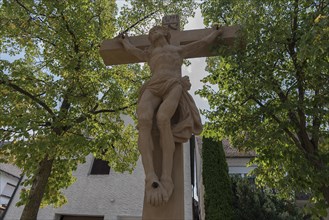 Crucifix under trees, Trunstadt, Viereth-Trunstadt, Lower Franconia, Bavaria, Germany, Europe