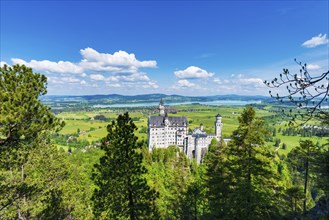 Neuschwanstein Castle near Hohenschwangau, Romantic Road, Ostallgäu, Bavaria, Germany, Europe