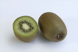 Chinese Gooseberry, fruit (Actinidia deliciosa), Actinidiaceae (Actinidia chinensis)