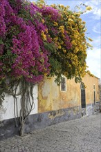 Narrow Street in Faro old town, Algarve, Portugal, Europe