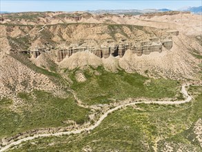 Dirt road in the Gorafe Desert with green surroundings after some rainfalls, aerial view, drone