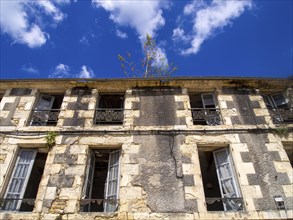 Tree on a roof of an abandoned house. Nevers. Nievre departement. France