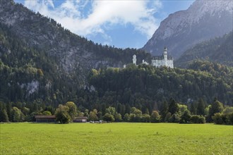 Neuschwanstein Castle, Schwangau, Ostallgäu, Allgäu, Swabia, Upper Bavaria, Bavaria, Germany,