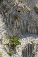 Geological layers visible on the surface of the ground. Drome, France, Europe