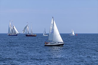 Sailing ships, Baltic Sea, Hanse Sail, Warnemünde, Rostock, Mecklenburg-Western Pomerania, Germany,