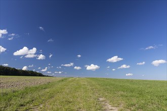 Wide open space, field path, blue sky, white clouds, Saxony, Germany, Europe