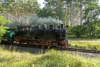 Rasender Roland steam railway, near Sellin, Rügen Island, Mecklenburg-Western Pomerania, Germany,