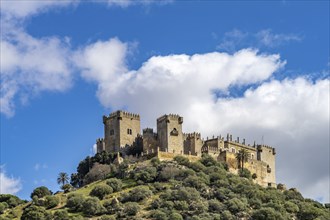 The castle Castillo de Almodóvar del Río, Andalusia, Spain, Europe