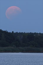 Partial lunar eclipse, Middle Elbe Biosphere Reserve, Saxony-Anhalt, Germany, Europe