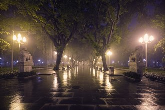 Guangzhou People's Park with mist fog at night. Guangzhou, China, Asia